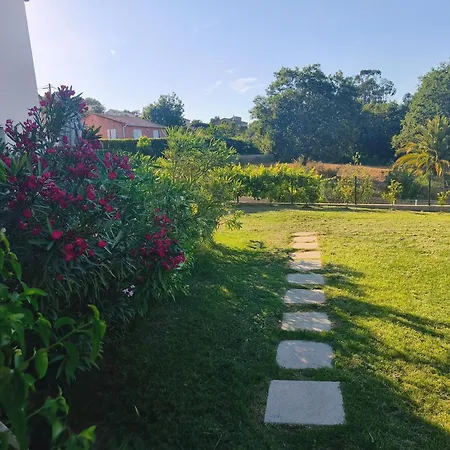 Doume Et Coco T1 30m2 Vue Διαμέρισμα Taglio-Isolaccio