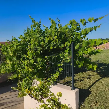 Διαμέρισμα Doume Et Coco T1 30m2 Vue